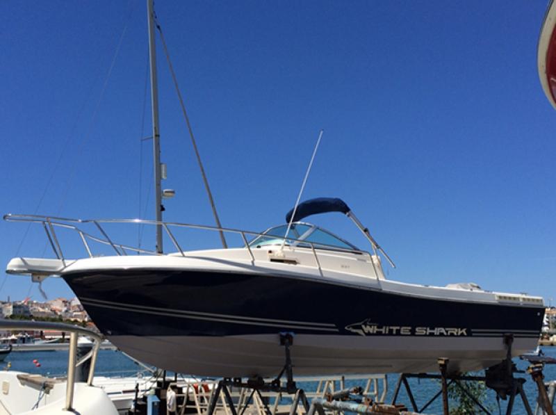 White Shark 237